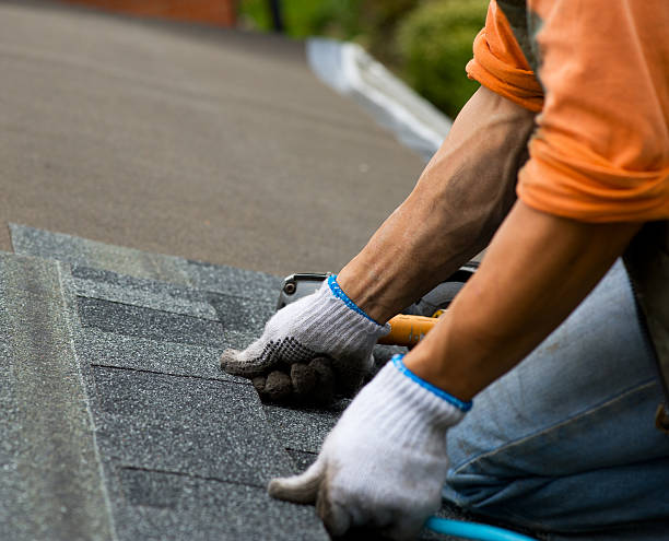 Best Roof Gutter Cleaning  in Shokan, NY