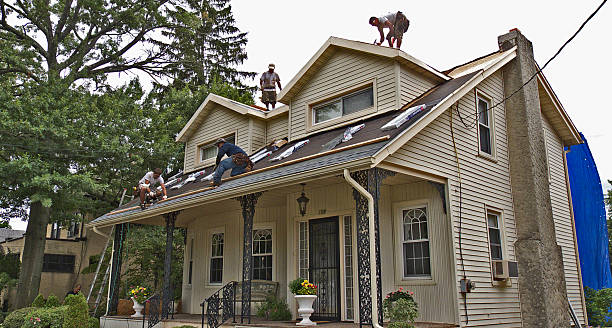 Best Best Roofing Contractors  in Shokan, NY